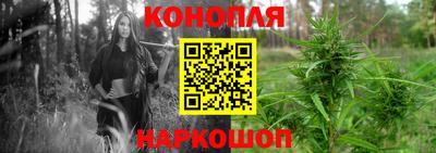прущие крисы Кулебаки