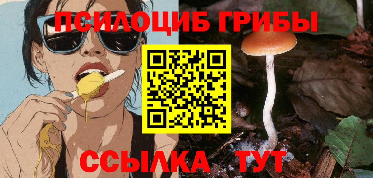 Псилоцибиновые грибы Psilocybe  Вход с VPN  Псилоцибиновые грибы Magic Shrooms  Верхняя Салда 