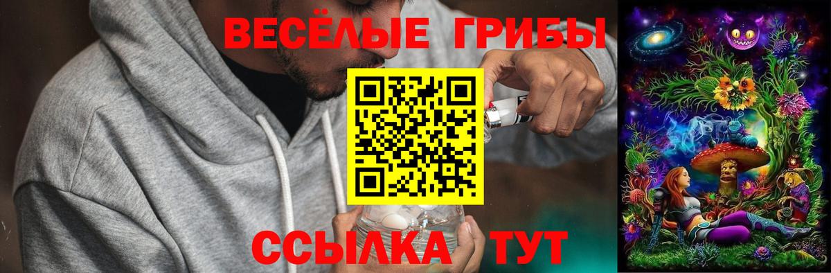Псилоцибиновые грибы ЛСД Верхняя Салда